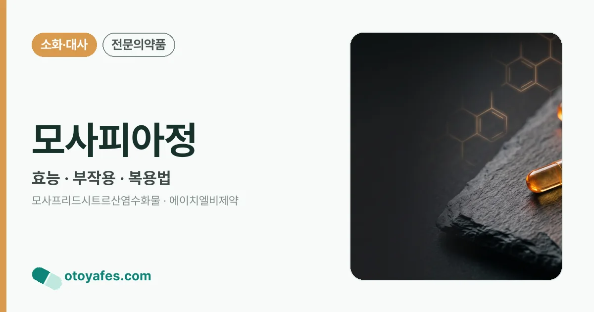 모사피아정 정리 썸네일