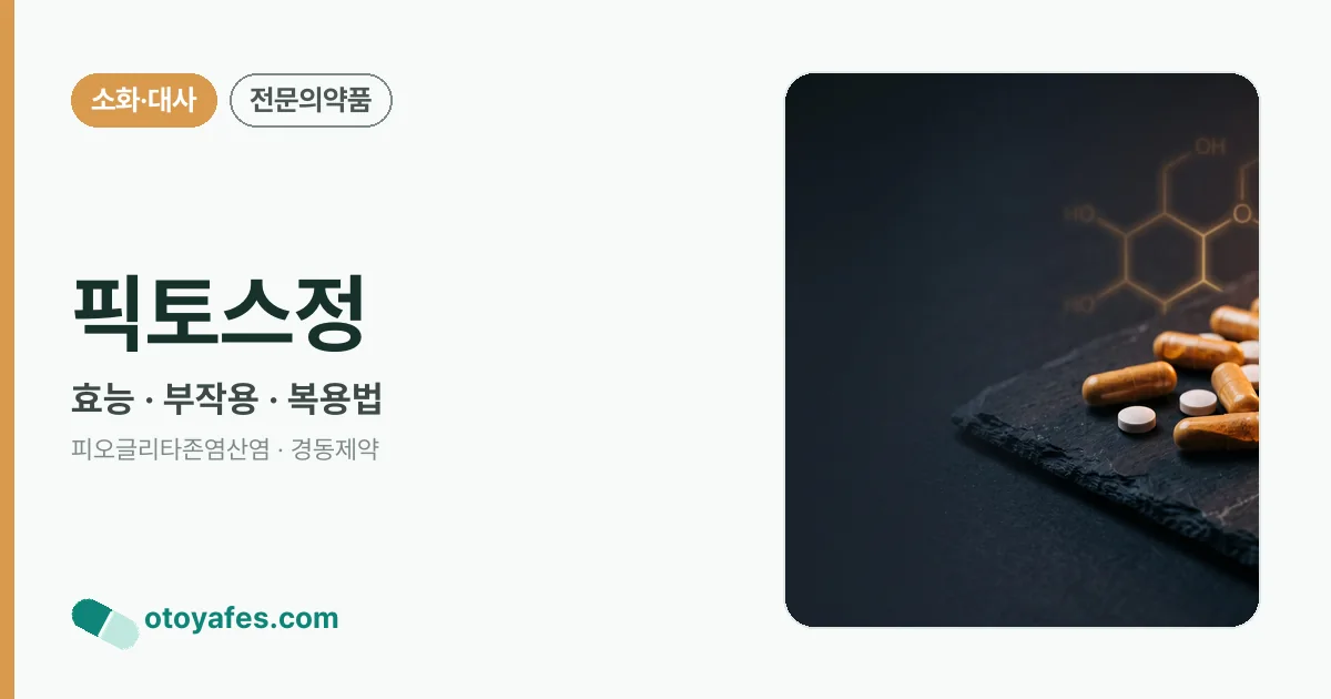 픽토스정 정리 썸네일
