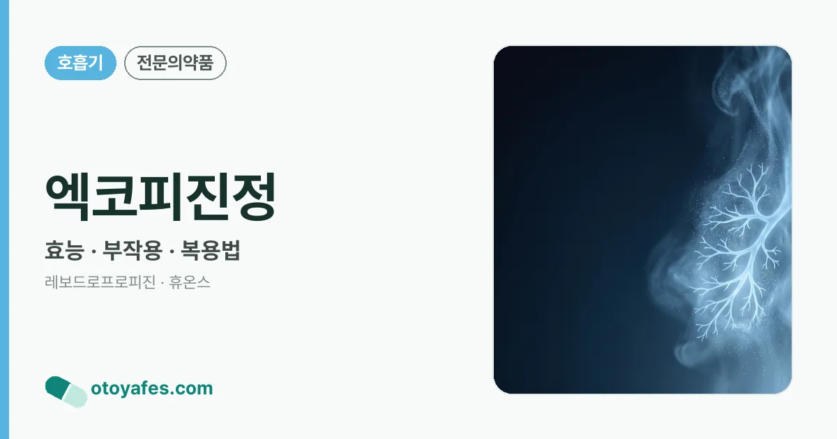 엑코피진정 정리 썸네일