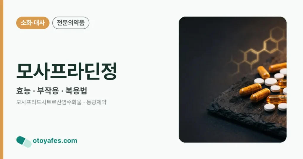 모사프라딘정 정리 썸네일