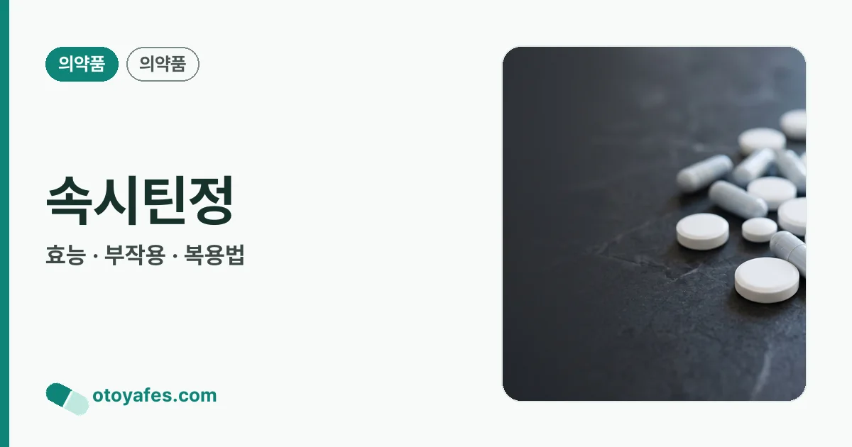 속시틴정 정리 썸네일