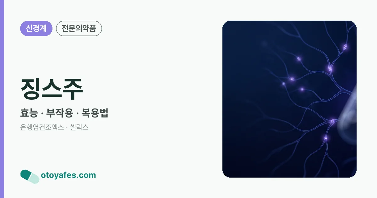 징스주 정리 썸네일