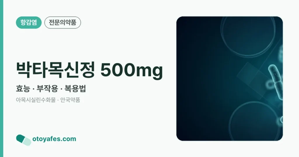 박타목신정 500mg 정리 썸네일