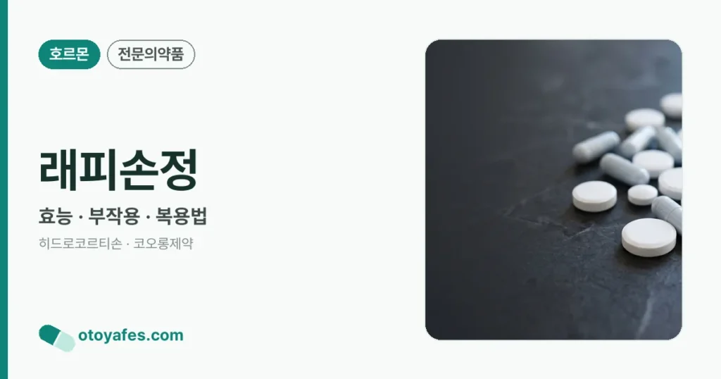 래피손정 정리 썸네일