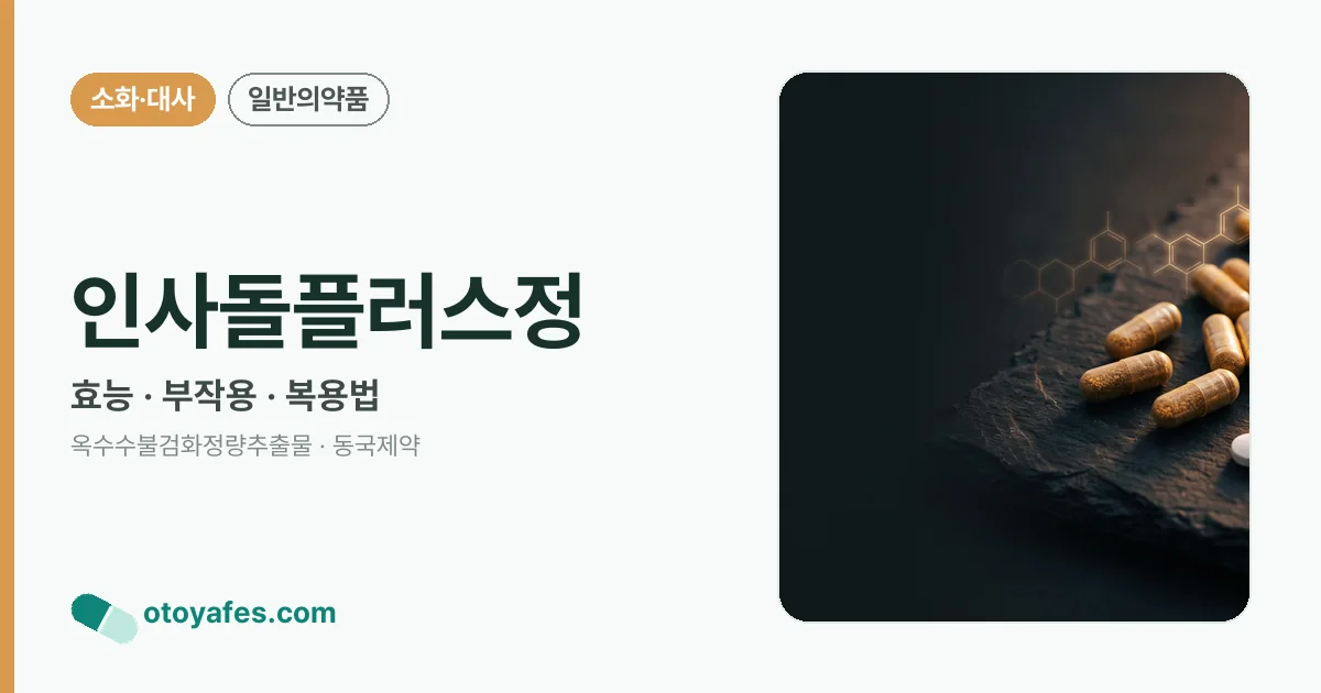 인사돌플러스정 정리 썸네일