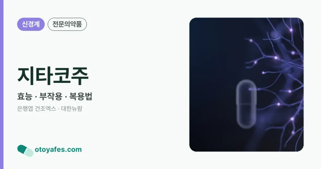 지타코주 정리 썸네일