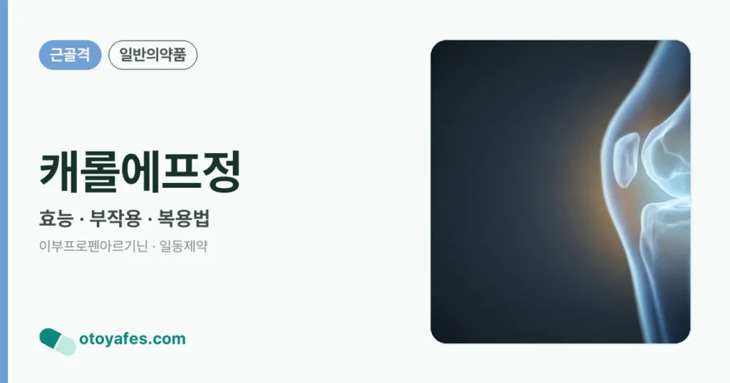 캐롤에프정 정리 썸네일