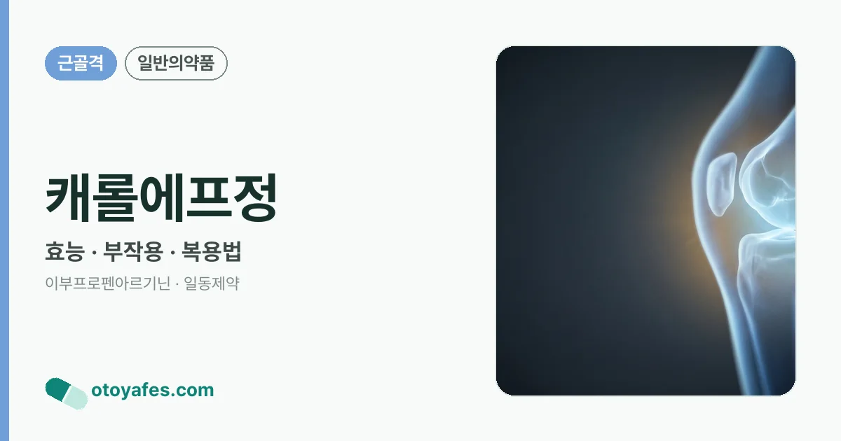 캐롤에프정 정리 썸네일