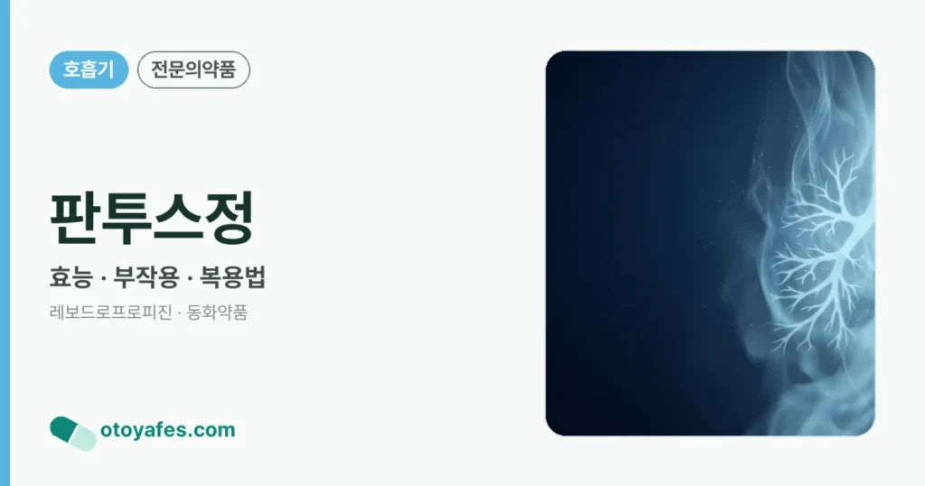 판투스정 정리 썸네일
