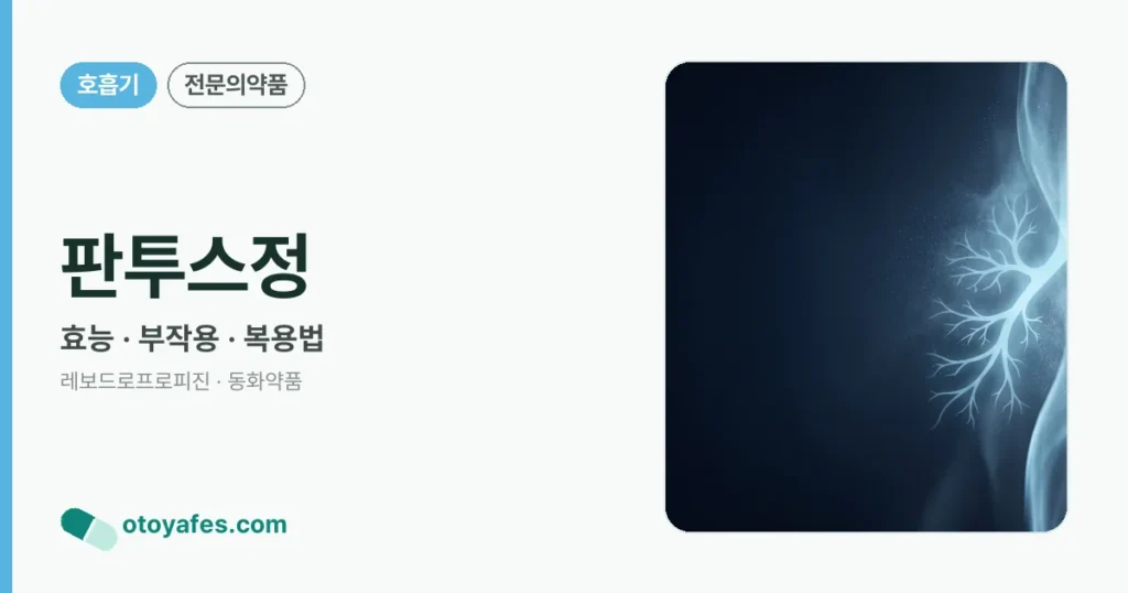 판투스정 정리 썸네일