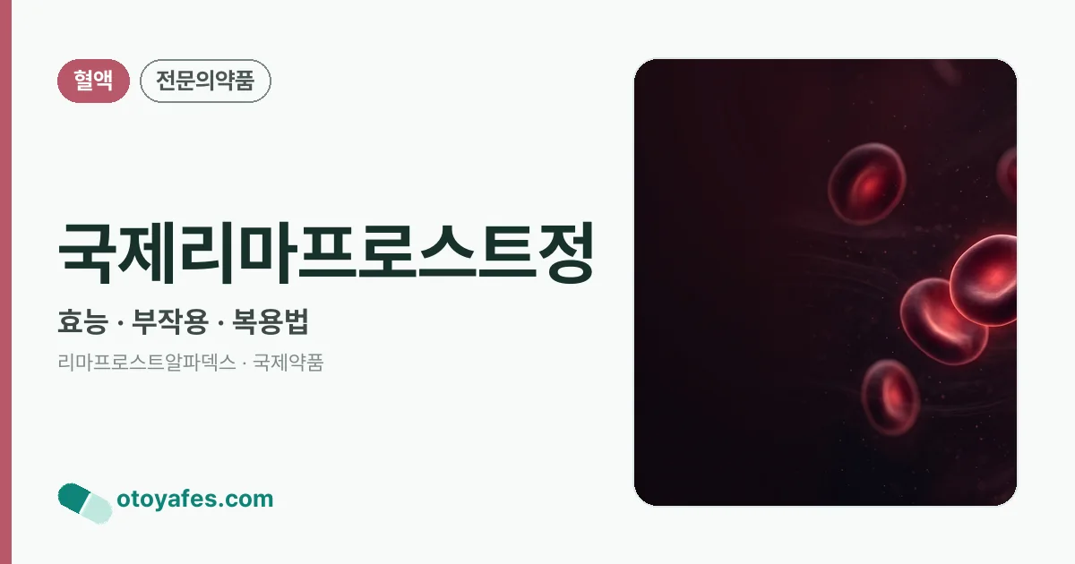 국제리마프로스트정 정리 썸네일