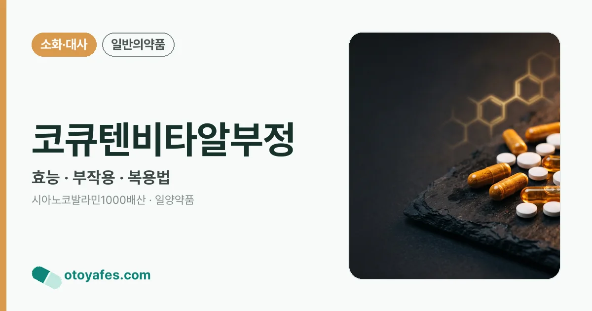 코큐텐비타알부정 정리 썸네일
