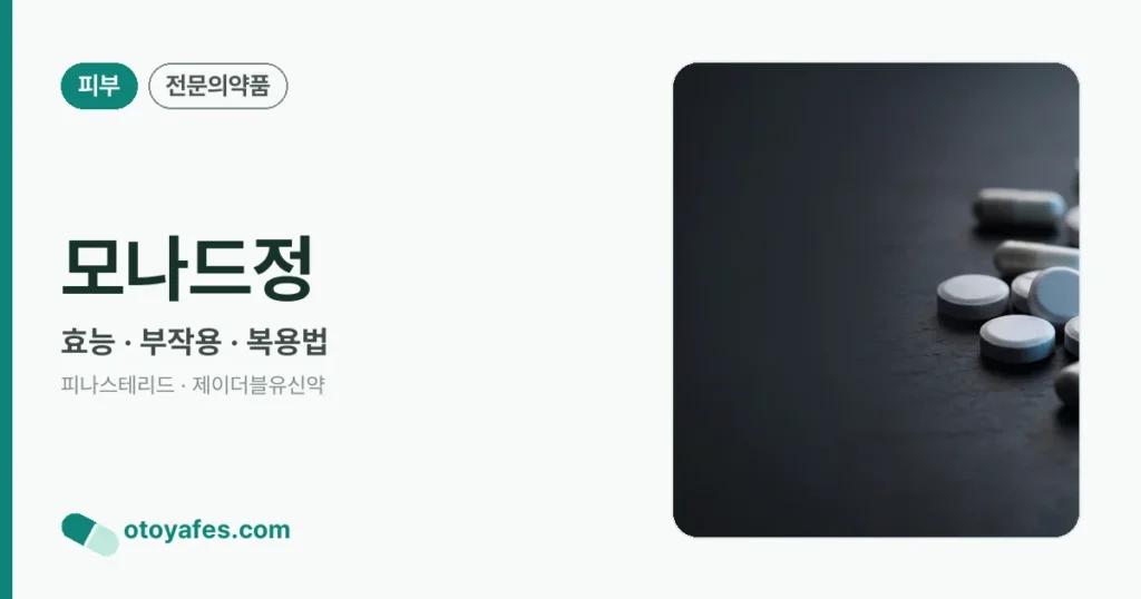 모나드정 정리 썸네일