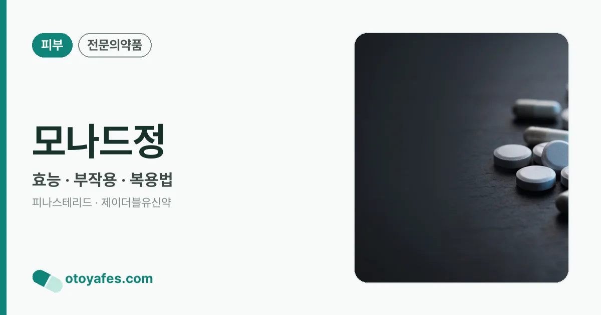 모나드정 정리 썸네일