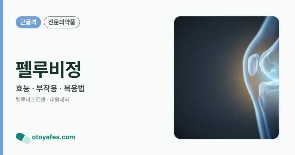 펠루비정 정리 썸네일