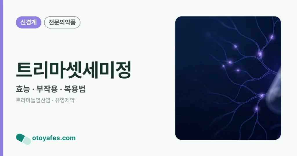 트리마셋세미정 정리 썸네일
