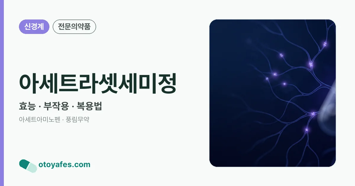 아세트라셋세미정 정리 썸네일