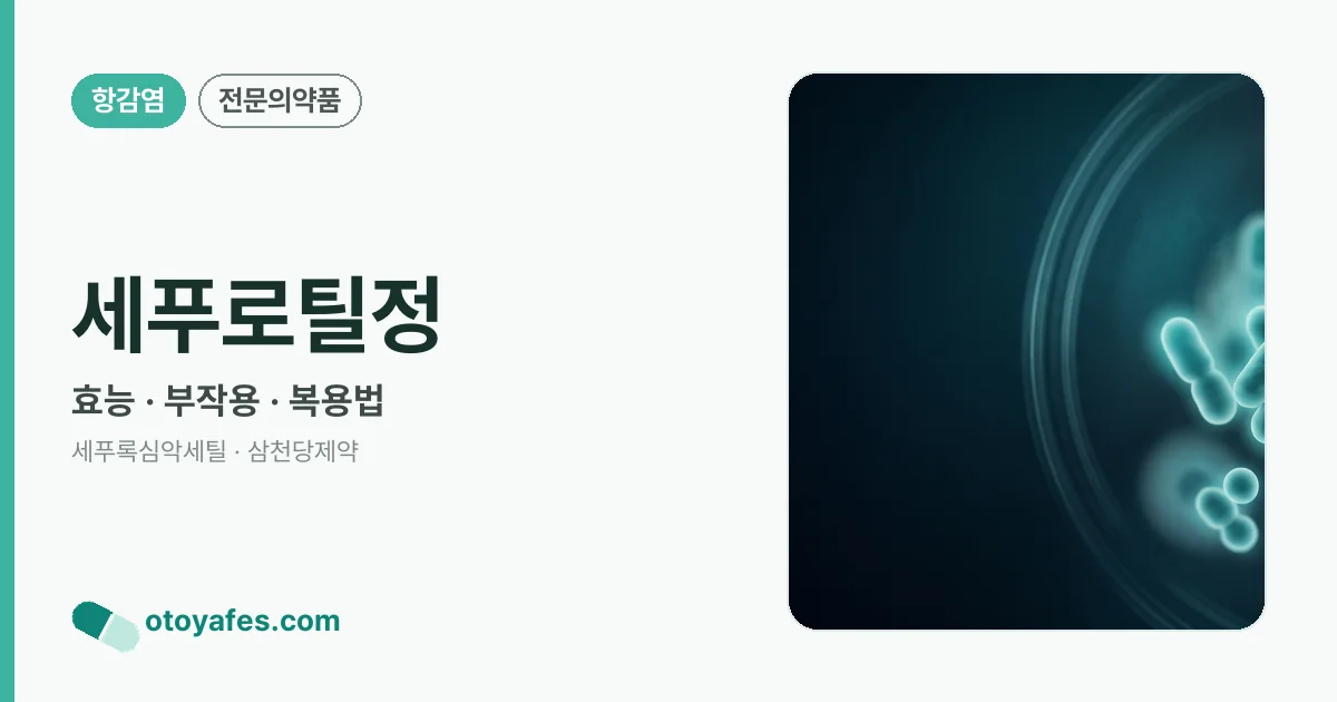 세푸로틸정 정리 썸네일
