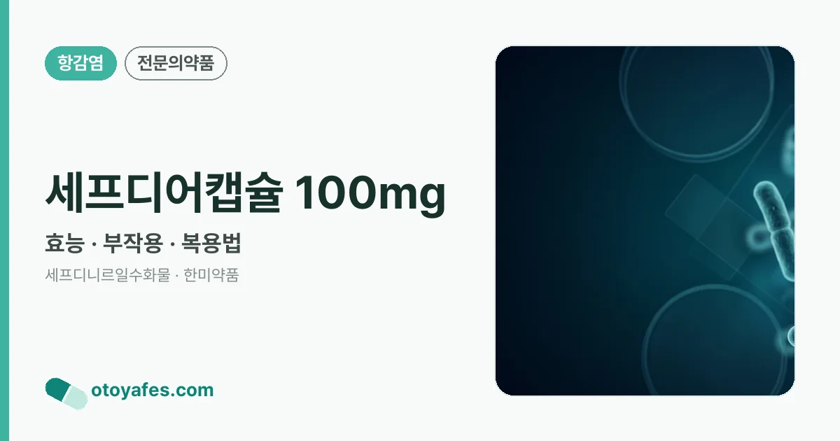 세프디어캡슐 100mg 정리 썸네일
