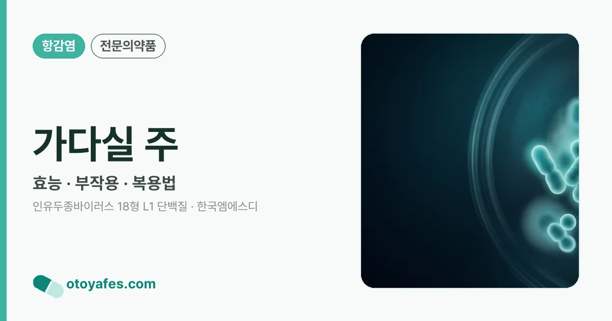 가다실 주 정리 썸네일