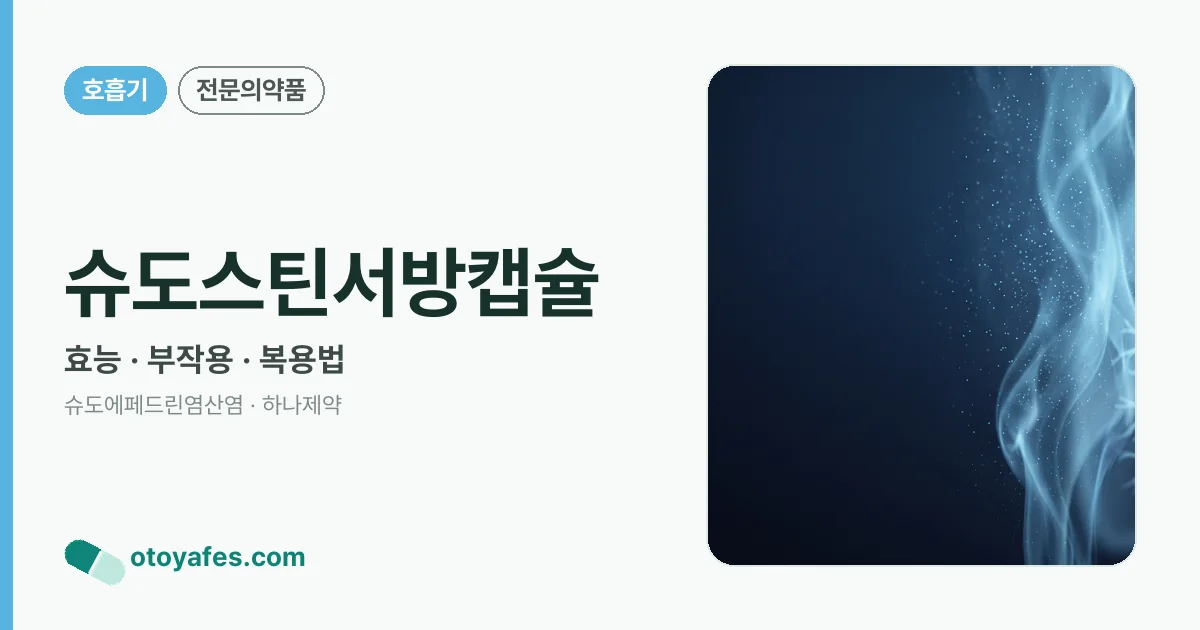 슈도스틴서방캡슐 정리 썸네일