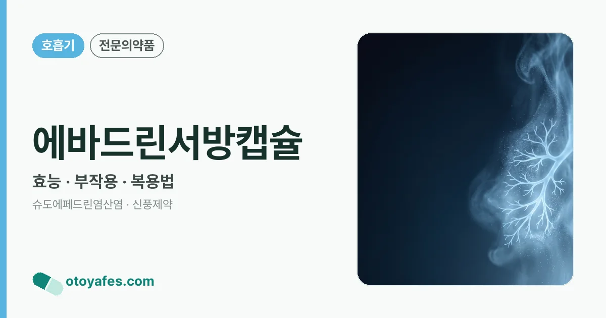 에바드린서방캡슐 정리 썸네일