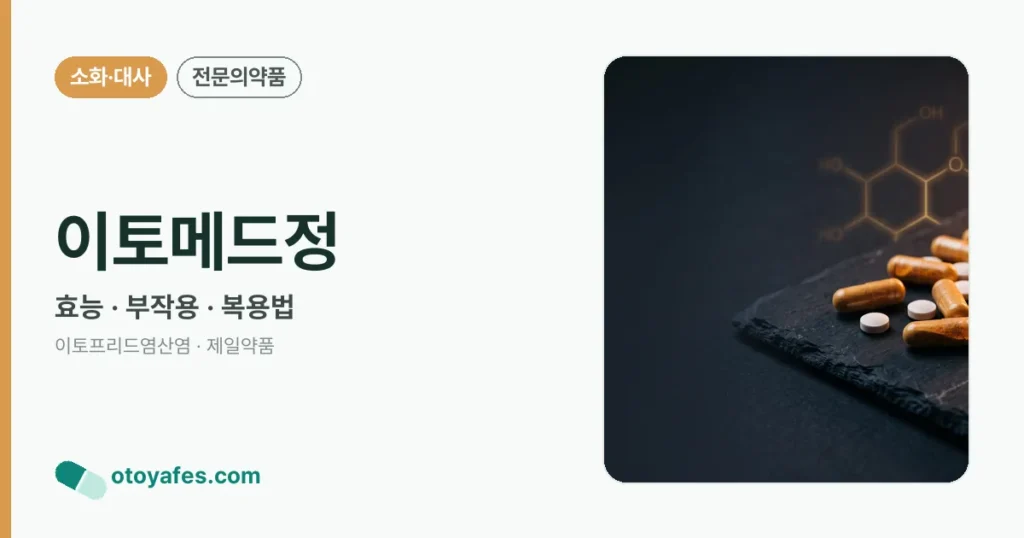 이토메드정 정리 썸네일