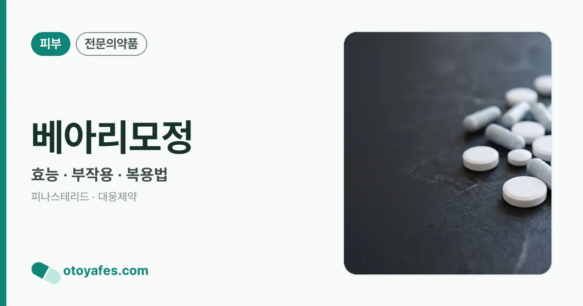 베아리모정 정리 썸네일