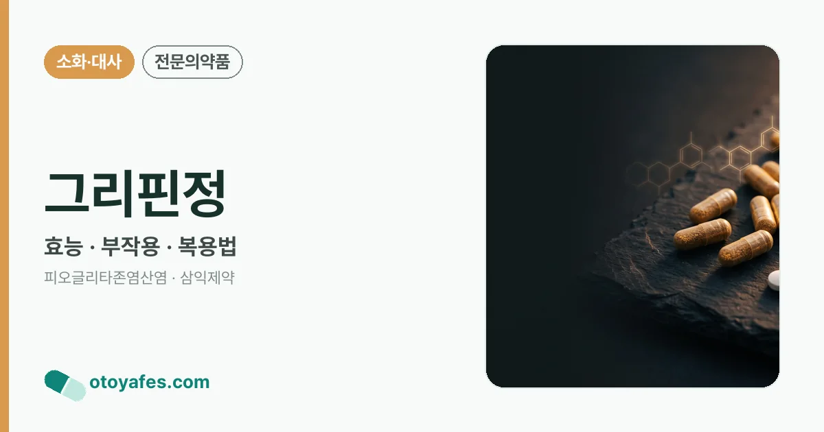 그리핀정 정리 썸네일
