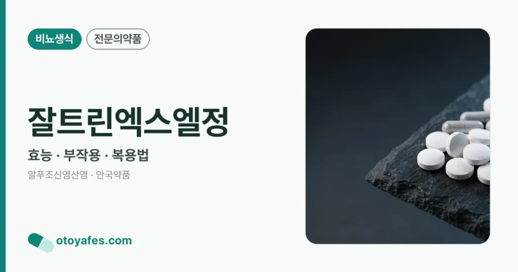 잘트린엑스엘정 정리 썸네일