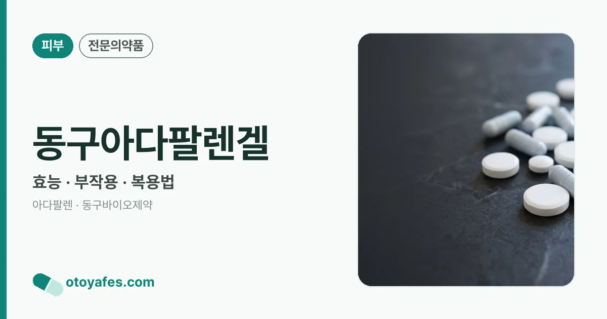 동구아다팔렌겔 정리 썸네일