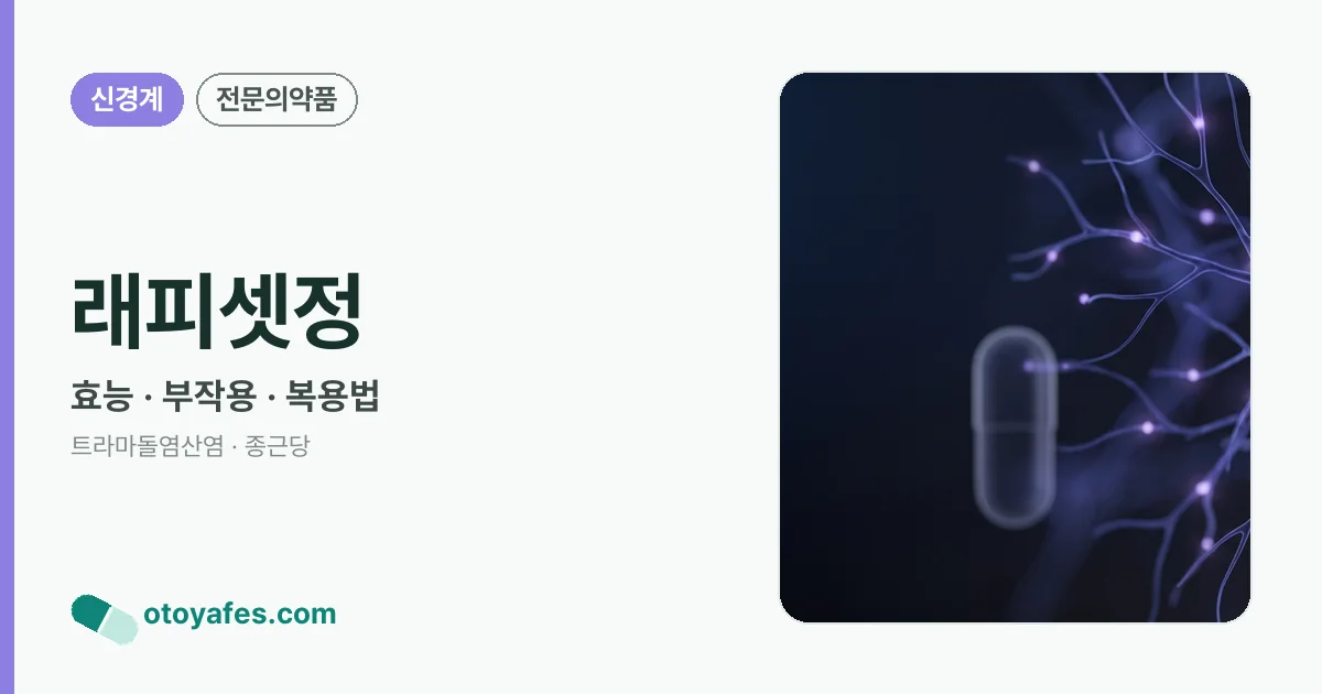 래피셋정 정리 썸네일