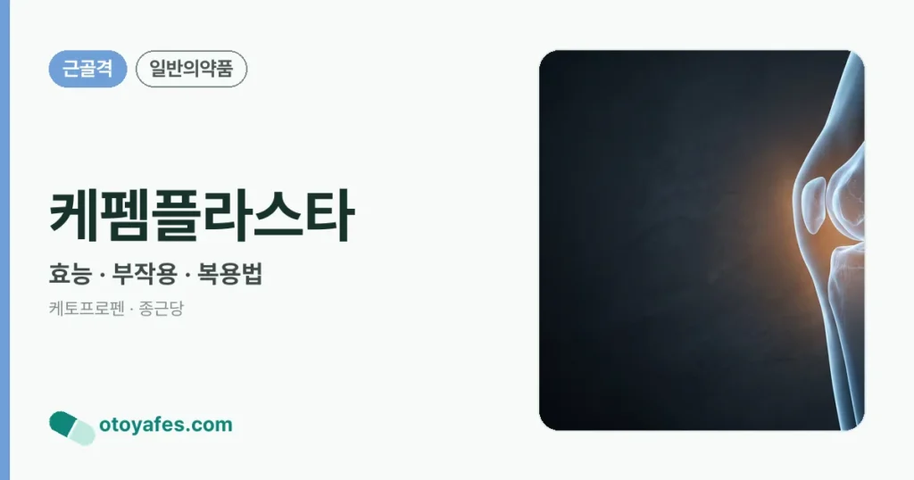 케펨플라스타 정리 썸네일