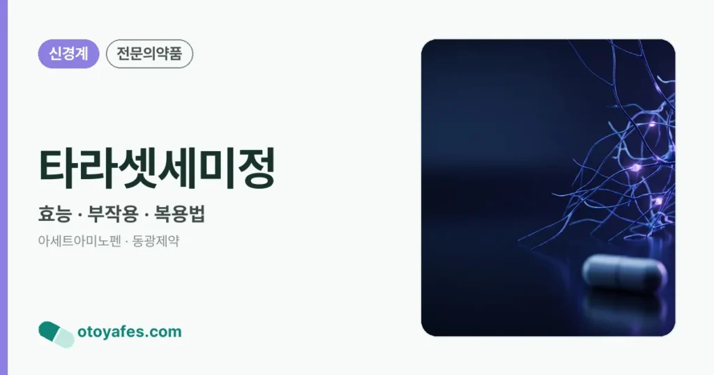 타라셋세미정 정리 썸네일