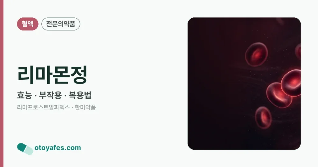 리마몬정 정리 썸네일