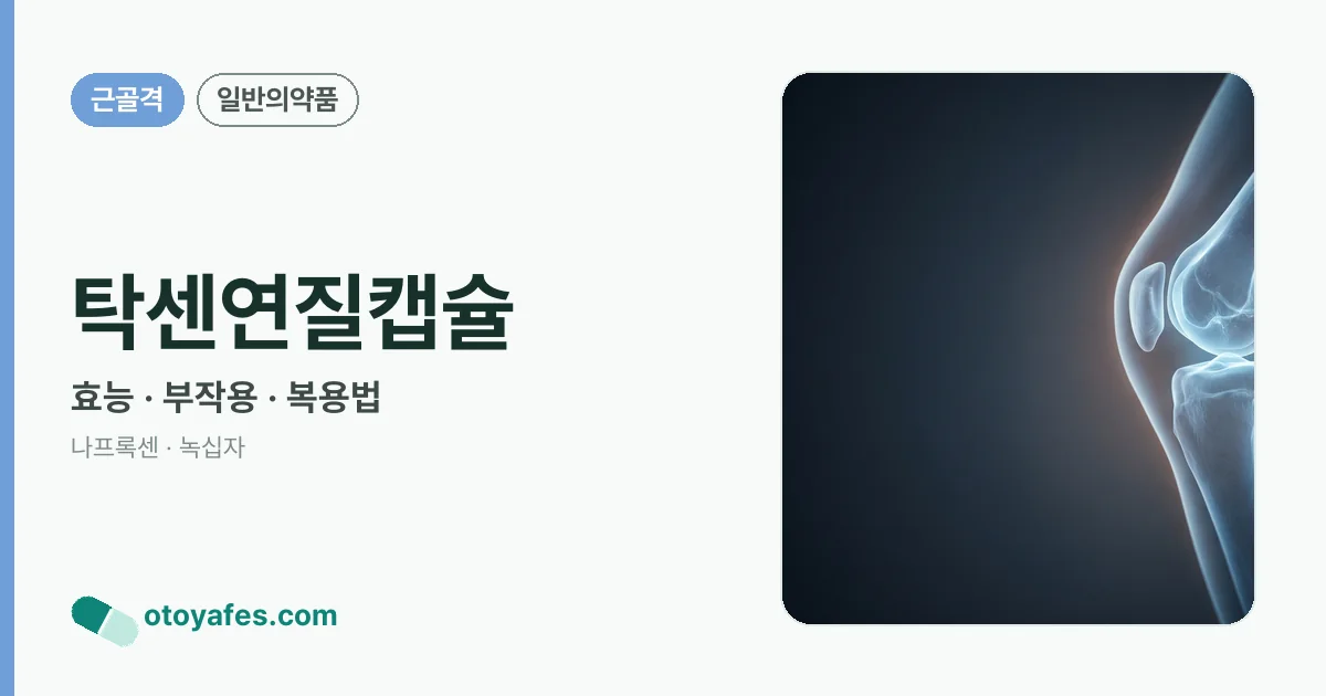 탁센연질캡슐 정리 썸네일