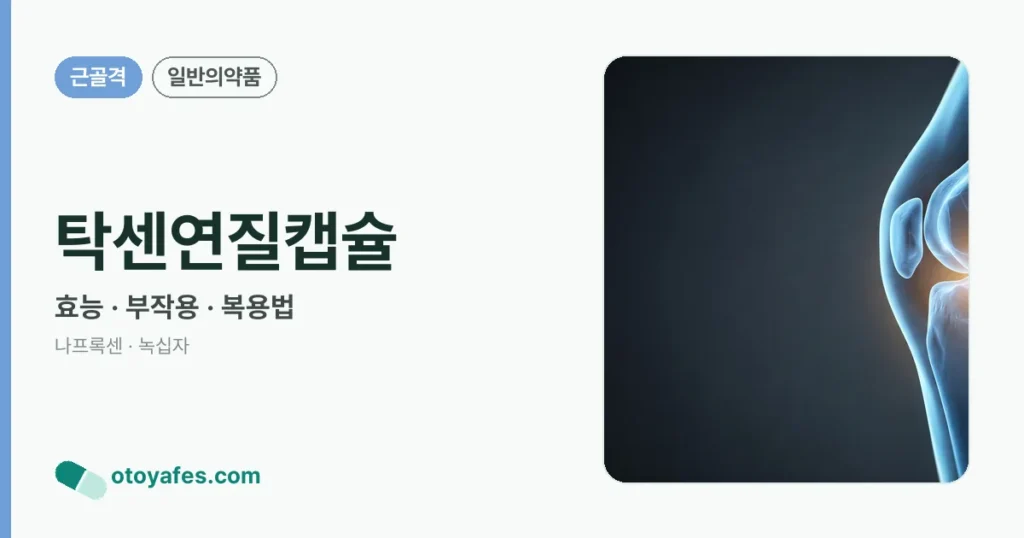 탁센연질캡슐 정리 썸네일