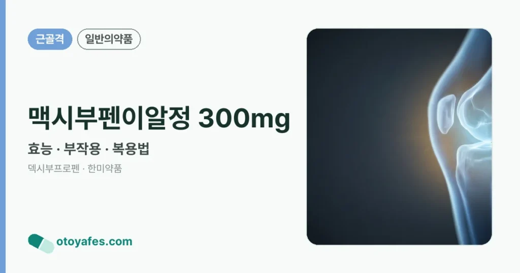 맥시부펜이알정 300mg 정리 썸네일