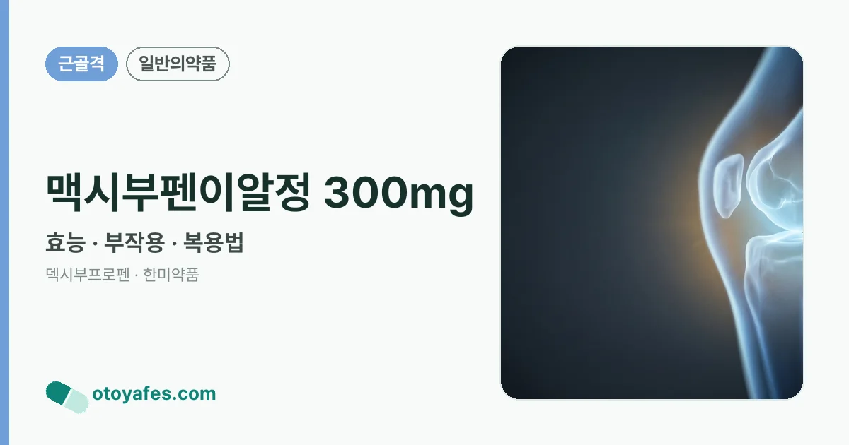 맥시부펜이알정 300mg 정리 썸네일