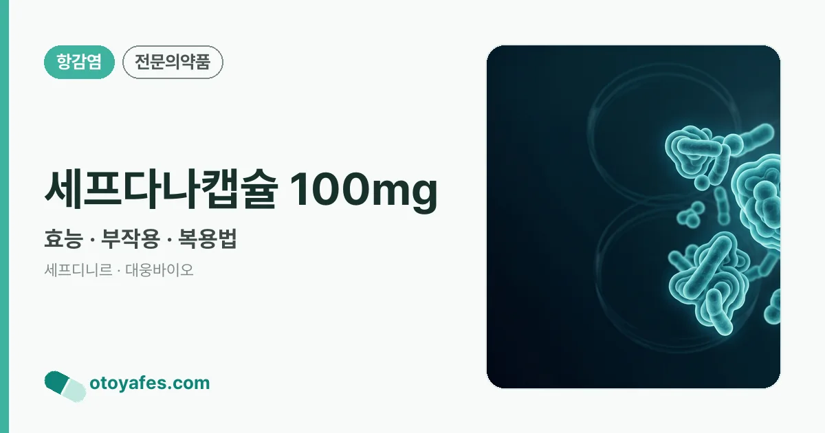 세프다나캡슐 100mg 정리 썸네일