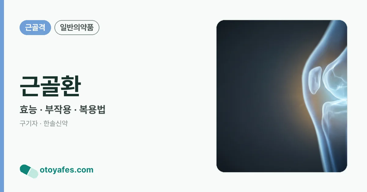 근골환 정리 썸네일