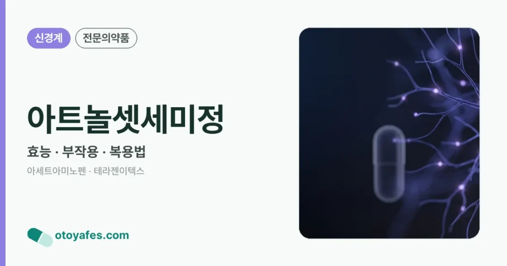 아트놀셋세미정 정리 썸네일