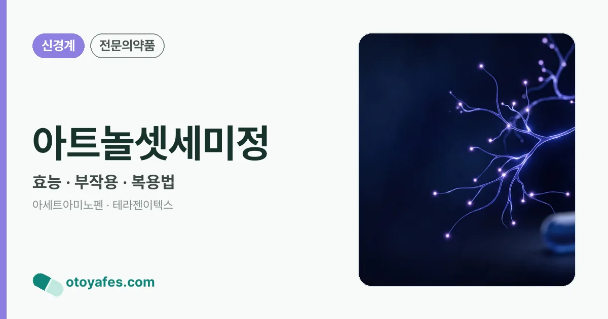 아트놀셋세미정 정리 썸네일