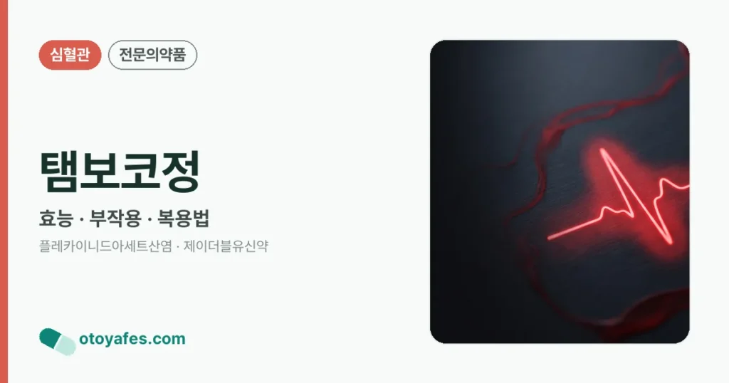 탬보코정 정리 썸네일