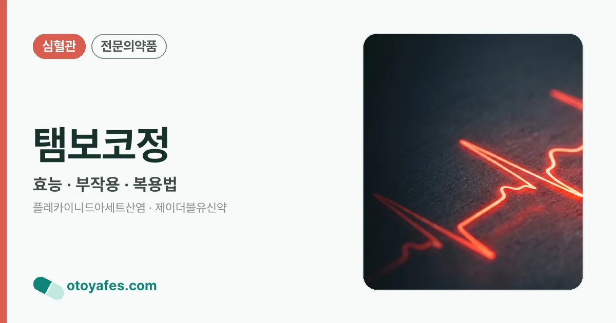 탬보코정 정리 썸네일