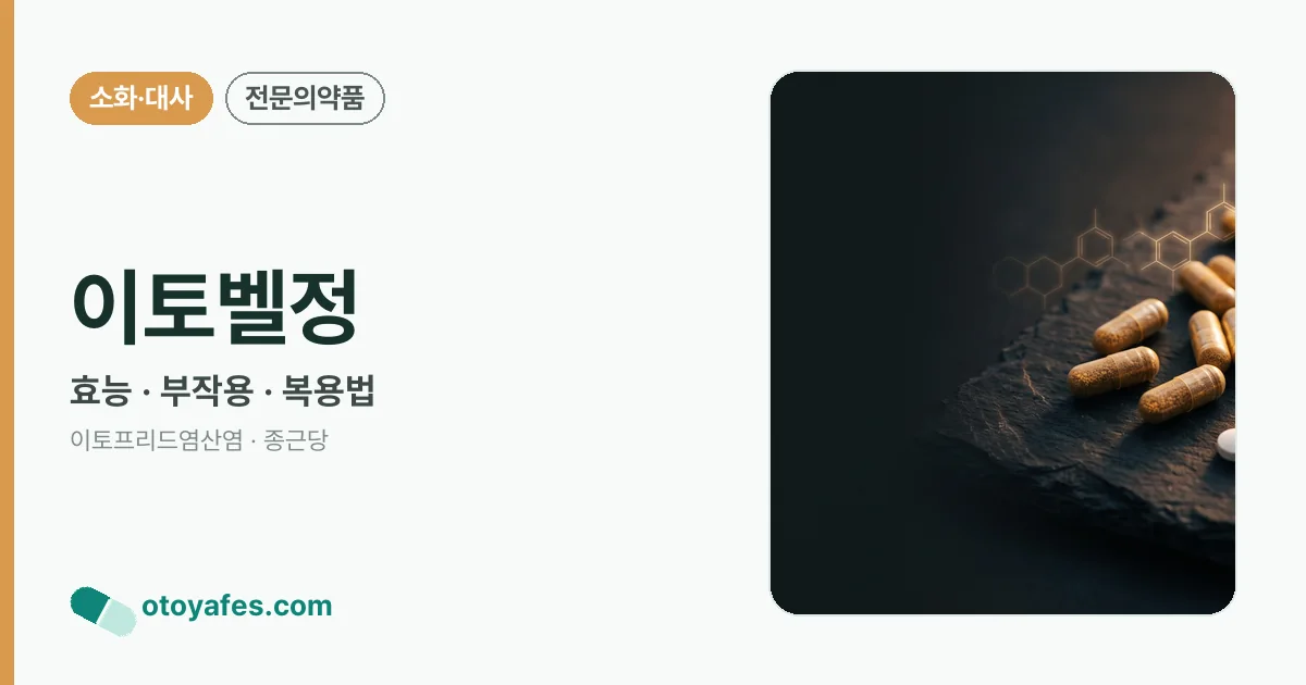 이토벨정 정리 썸네일