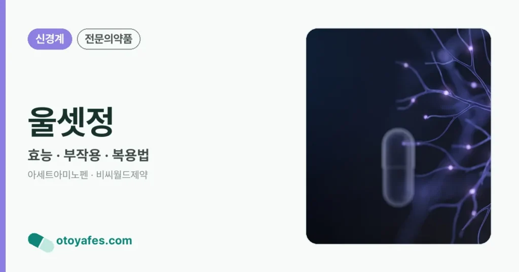 울셋정 정리 썸네일
