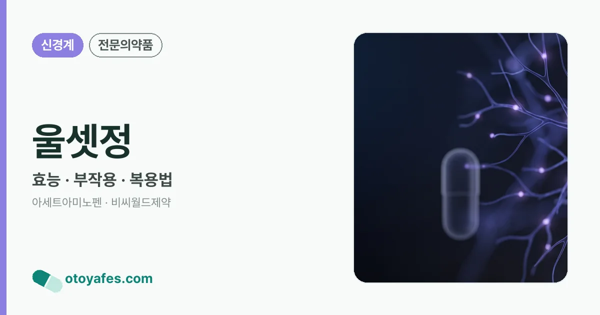 울셋정 정리 썸네일