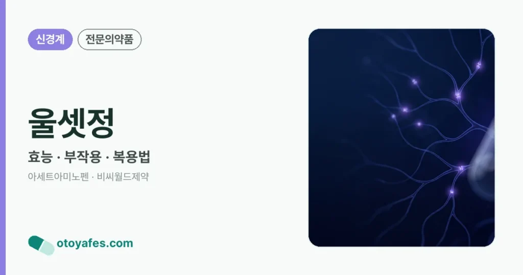 울셋정 정리 썸네일