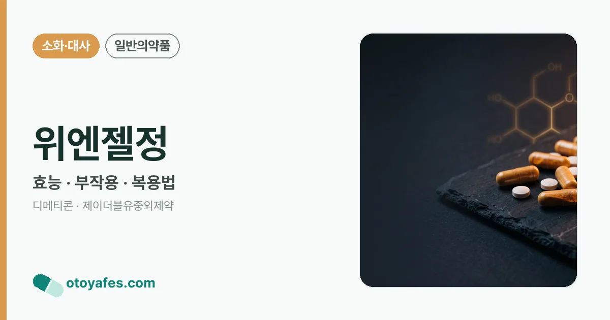 위엔젤정 정리 썸네일